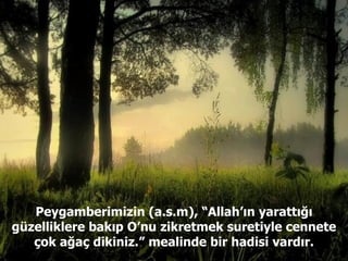 Peygamberimizin (a.s.m), “Allah’ın yarattığı güzelliklere bakıp O’nu zikretmek suretiyle cennete çok ağaç dikiniz.” mealinde bir hadisi vardır. 