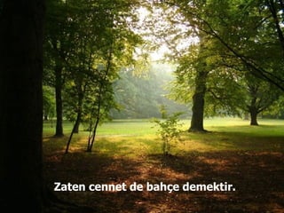 Zaten cennet de bahçe demektir.  