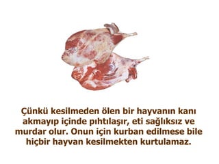 Çünkü kesilmeden ölen bir hayvanın kanı akmayıp içinde pıhtılaşır, eti sağlıksız ve murdar olur. Onun için kurban edilmese bile hiçbir hayvan kesilmekten kurtulamaz. 
