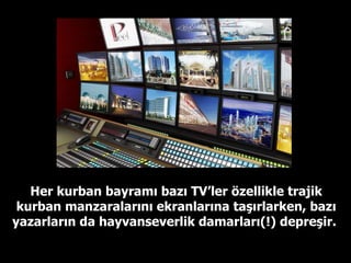 Her kurban bayramı bazı TV’ler özellikle trajik kurban manzaralarını ekranlarına taşırlarken, bazı yazarların da hayvanseverlik damarları(!) depreşir.  
