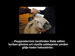 … Peygamberimiz tarafından ifade edilen kurban gününe art niyetle yaklaşanlar yerden göğe kadar haksızdırlar.  