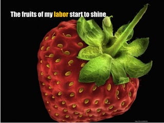 The fruits of my labor start to shine
https://flic.kr/p/8bACSb
 