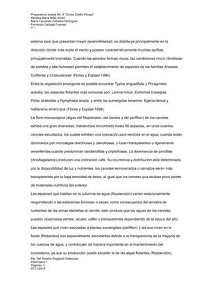 Preparatoria estatal No. 8 “Carlos Catillo Peraza” 
Alondra María Arias Arceo 
María Fernanda Ceballos Rodríguez 
Fernando Carbajal Fuentes 
1° I 
externa pero que presentan mayor perennifoliedad, se distribuye principalmente en la 
dirección donde más sopla el viento y poseen característicamente muchas epífitas, 
principalmente bromelias. Cuando las paredes forman riscos, las condiciones micro climáticas 
de sombra y alta humedad permiten el establecimiento de especies de las familias Araceae, 
Gutiferae y Crassulaceae (Flores y Espejel 1994). 
Entre la vegetación emergente es posible encontrar Typha angustifolia y Phragmites 
autralis; las especies flotantes más comunes son: Lemna minor, Eichornia crassipes, 
Pistia stratoides y Nymphaea ampla; y entre las sumergidas tenemos: Egeria densa y 
Vallisneria americana (Flores y Espejel 1994). 
La flora microscópica (algas del fitoplancton, del bentos y del perifiton) de los cenotes 
exhibe una gran diversidad, habiéndose encontrado hasta 80 especies, en unos cuantos 
cenotes estudiados, los cuales exhiben una coloración azul-verdosa en el agua, cuando están 
dominados por microalgas clorofíceas y cianofíceas; y lucen transparentes o ligeramente 
amarillentas cuando predominan bacilariofitas y criptofíceas. La dominancia de pirrofitas 
(dinoflagelados) producen una coloración café. Su ocurrencia y distribución está determinada 
por la disponibilidad de luz y nutrientes; los cenotes semicerrados o cerrados serán más 
transparentes por la baja densidad de éstas; al igual que los cenotes que reciben poco aporte 
de materiales nutritivos del exterior. 
Las especies que habitan en la columna de agua (fitoplancton) varían estacionalmente 
respondiendo a las estaciones lluviosas o secas, como consecuencia del arrastre de 
nutrientes de las zonas aledañas al cenote, esto produce que las aguas de los cenotes 
puedan observarse verdes, azules, cafés o transparentes dependiendo de la época del año. 
Las especies que viven asociadas a plantas sumergidas (perifiton) y las que viven en el 
fondo (fitobentos) son especialmente abundantes debido a la transparencia de la mayoría de 
los cuerpos de agua, y contribuyen de manera importante en el mantenimiento del 
ecosistema, ya que su producción puede exceder la de las algas flotantes (fitoplancton). 
Ma. Del Rosario Raygoza Velásquez 
Informática 1 
Paginas: 3 
07/11/2014 
 