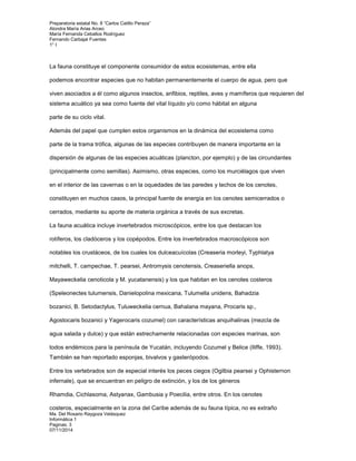 Preparatoria estatal No. 8 “Carlos Catillo Peraza” 
Alondra María Arias Arceo 
María Fernanda Ceballos Rodríguez 
Fernando Carbajal Fuentes 
1° I 
La fauna constituye el componente consumidor de estos ecosistemas, entre ella 
podemos encontrar especies que no habitan permanentemente el cuerpo de agua, pero que 
viven asociados a él como algunos insectos, anfibios, reptiles, aves y mamíferos que requieren del 
sistema acuático ya sea como fuente del vital líquido y/o como hábitat en alguna 
parte de su ciclo vital. 
Además del papel que cumplen estos organismos en la dinámica del ecosistema como 
parte de la trama trófica, algunas de las especies contribuyen de manera importante en la 
dispersión de algunas de las especies acuáticas (plancton, por ejemplo) y de las circundantes 
(principalmente como semillas). Asimismo, otras especies, como los murciélagos que viven 
en el interior de las cavernas o en la oquedades de las paredes y techos de los cenotes, 
constituyen en muchos casos, la principal fuente de energía en los cenotes semicerrados o 
cerrados, mediante su aporte de materia orgánica a través de sus excretas. 
La fauna acuática incluye invertebrados microscópicos, entre los que destacan los 
rotíferos, los cladóceros y los copépodos. Entre los invertebrados macroscópicos son 
notables los crustáceos, de los cuales los dulceacuícolas (Creaseria morleyi, Typhlatya 
mitchelli, T. campechae, T. pearsei, Antromysis cenotensis, Creaseriella anops, 
Mayaweckelia cenoticola y M. yucatanensis) y los que habitan en los cenotes costeros 
(Speleonectes tulumensis, Danielopolina mexicana, Tulumella unidens, Bahadzia 
bozanici, B. Setodactylus, Tuluweckelia cernua, Bahalana mayana, Procaris sp., 
Agostocaris bozanici y Yagerocaris cozumel) con características anquihalinas (mezcla de 
agua salada y dulce) y que están estrechamente relacionadas con especies marinas, son 
todos endémicos para la península de Yucatán, incluyendo Cozumel y Belice (Iliffe, 1993). 
También se han reportado esponjas, bivalvos y gasterópodos. 
Entre los vertebrados son de especial interés los peces ciegos (Ogilbia pearsei y Ophisternon 
infernale), que se encuentran en peligro de extinción, y los de los géneros 
Rhamdia, Cichlasoma, Astyanax, Gambusia y Poecilia, entre otros. En los cenotes 
costeros, especialmente en la zona del Caribe además de su fauna típica, no es extraño 
Ma. Del Rosario Raygoza Velásquez 
Informática 1 
Paginas: 3 
07/11/2014 
 