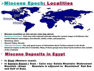  Miocene localities on this server: (see map above)
 Monterey Formation - Vast area with exposed outcrops along the coastal ranges of California. Our
exhibit features macroalgae, microfossils, shells, crabs, and porpoises.
 Shandong, China
 Stewart Valley, Nevada
 Villavieja Formation - Our only good source of information about Tertiary animals in the South
American tropics is this site in Colombia. Many of these groups have been found nowhere else outside
of the continent.

Miocene Deposits in Egypt
 In Sinai (Western coast).
 In Eastern Desert ( Suez – Cairo way- Galala Mountain- Shebraweet
Mountain –Ataqa Mountain in adjacent to Mountainof Red Sea
and Gulf of Suez.
Miocene Epoch: Localities
 