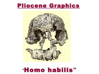Pliocene Graphics
"Homo habilis"
 