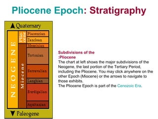 Pliocene Epoch: Stratigraphy
Subdivisions of the
Pliocene:
The chart at left shows the major subdivisions of the
Neogene, the last portion of the Tertiary Period,
including the Pliocene. You may click anywhere on the
other Epoch (Miocene) or the arrows to navigate to
those exhibits.
The Pliocene Epoch is part of the Cenozoic Era.
 