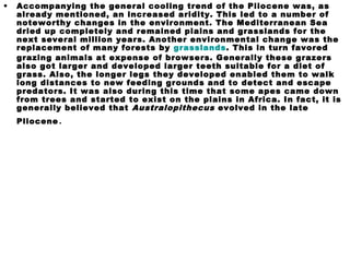 • Accompanying the general cooling trend of the Pliocene was, as
already mentioned, an increased aridity. This led to a number of
noteworthy changes in the environment. The Mediterranean Sea
dried up completely and remained plains and grasslands for the
next several million years. Another environmental change was the
replacement of many forests by grasslands. This in turn favored
grazing animals at expense of browsers. Generally these grazers
also got larger and developed larger teeth suitable for a diet of
grass. Also, the longer legs they developed enabled them to walk
long distances to new feeding grounds and to detect and escape
predators. It was also during this time that some apes came down
from trees and started to exist on the plains in Africa. In fact, it is
generally believed that Australopithecus evolved in the late
Pliocene.
 