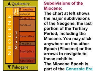 Subdivisions of the
Miocene:
The chart at left shows
the major subdivisions
of the Neogene, the last
portion of the Tertiary
Period, including the
Miocene. You may click
anywhere on the other
Epoch (Pliocene) or the
arrows to navigate to
those exhibits.
The Miocene Epoch is
part of the Cenozoic Era
 