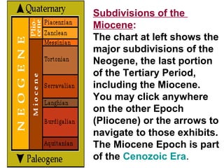 Subdivisions of the
Miocene:
The chart at left shows the
major subdivisions of the
Neogene, the last portion
of the Tertiary Period,
including the Miocene.
You may click anywhere
on the other Epoch
(Pliocene) or the arrows to
navigate to those exhibits.
The Miocene Epoch is part
of the Cenozoic Era.
 
