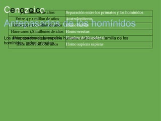 C e n o z o i c o Antepasados de los homínidos Los antepasados de la especie humana vienen de la familia de los homínidos, orden primates 3-4 millones de años Separación entre los primates y los homínidos Entre 4 y 1 millón de años Austrolopitecus Entre 2,5 y 1,6 millón de años Homo habilis Hace unos 1,8 millones de años Homo erectus Hace 230.000 a 35.000 años Hombre de Neandertal Hace unos 100.000 años Homo sapiens sapiens 