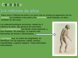 C e n o z o i c o 3-4 millones de años Hace unos 3 millones de años o un poco más se produjo la separación de los  primates  (no andaban a dos pies) y los  homínidos  (eran bípedos, es decir, andaban en dos pies). Los paleoantropólogos reconocen, desde los 4 millones de años, dos géneros de homínidos: • Los Australopithecus  que tienen varias especies, y eran bípedos. Sin embargo, no habrían sido fabricantes de armas o herramientas. •  Los Homo  que, en orden de antigüedad, se identifican con las especies: habilis, erectus, neandertales y sapiens sapiens. Todos fabricaban instrumentos. 