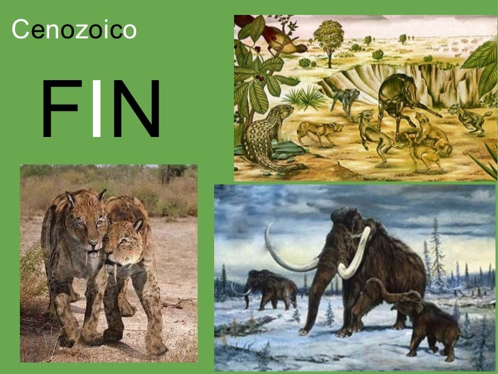 Cenozoico. La era de los mamíferos