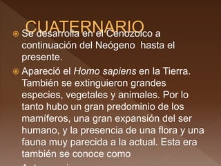  Se desarrolla en el Cenozoico a
continuación del Neógeno hasta el
presente.
 Apareció el Homo sapiens en la Tierra.
También se extinguieron grandes
especies, vegetales y animales. Por lo
tanto hubo un gran predominio de los
mamíferos, una gran expansión del ser
humano, y la presencia de una flora y una
fauna muy parecida a la actual. Esta era
también se conoce como
 
