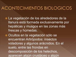  La vegetación de los alrededores de la
llanura está formada exclusivamente por
hepáticas y musgos en las zonas más
frescas y húmedas.
 Ocultos en la vegetación sólo se
encuentran Artrópodos: insectos
voladores y algunos arácnidos. En el
suelo, entre las frondas en
descomposición de los helechos,
aparecen algún crustáceo y algún
 