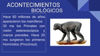 ACONTECIMIENTOS
BIOLÓGICOS
Hace 60 millones de años
aparecieron los mamíferos
30 ma los Primates con
visión estereoscópica y
manos prensiles. Hace 20
ma surgieron los primeros
Homínidos (Procónsul).
 