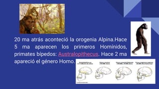 20 ma atrás aconteció la orogenia Alpina.Hace
5 ma aparecen los primeros Homínidos,
primates bípedos: Australopithecus. Hace 2 ma
apareció el género Homo.
 