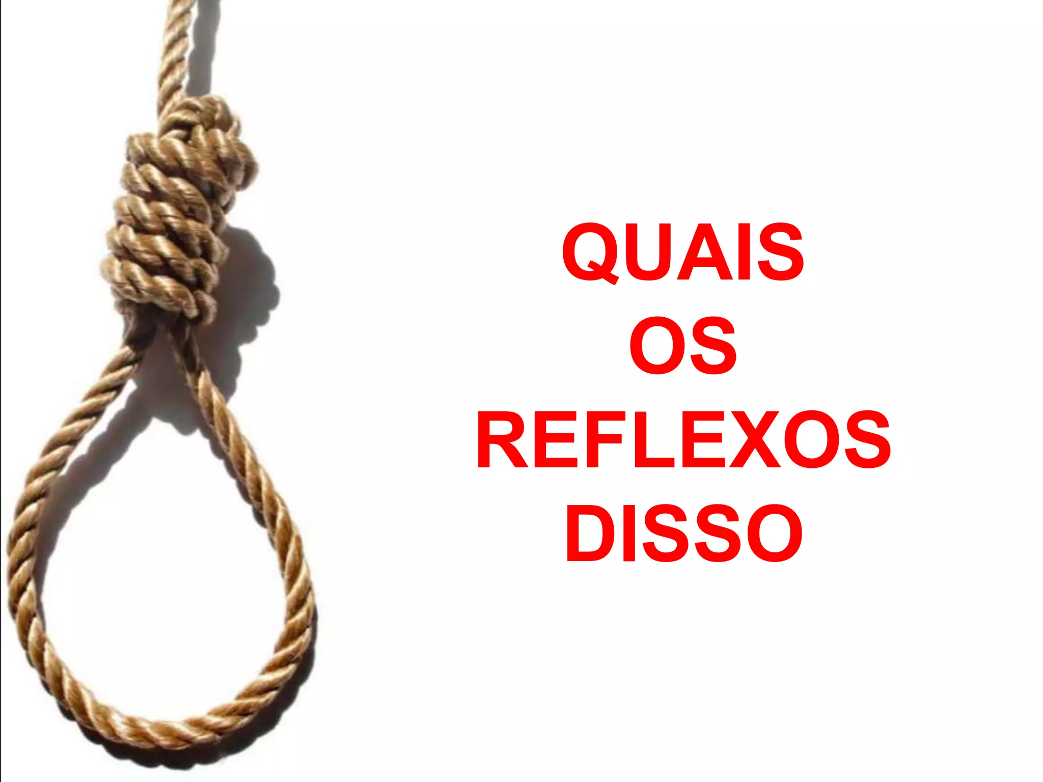 Cenários e Perspectivas