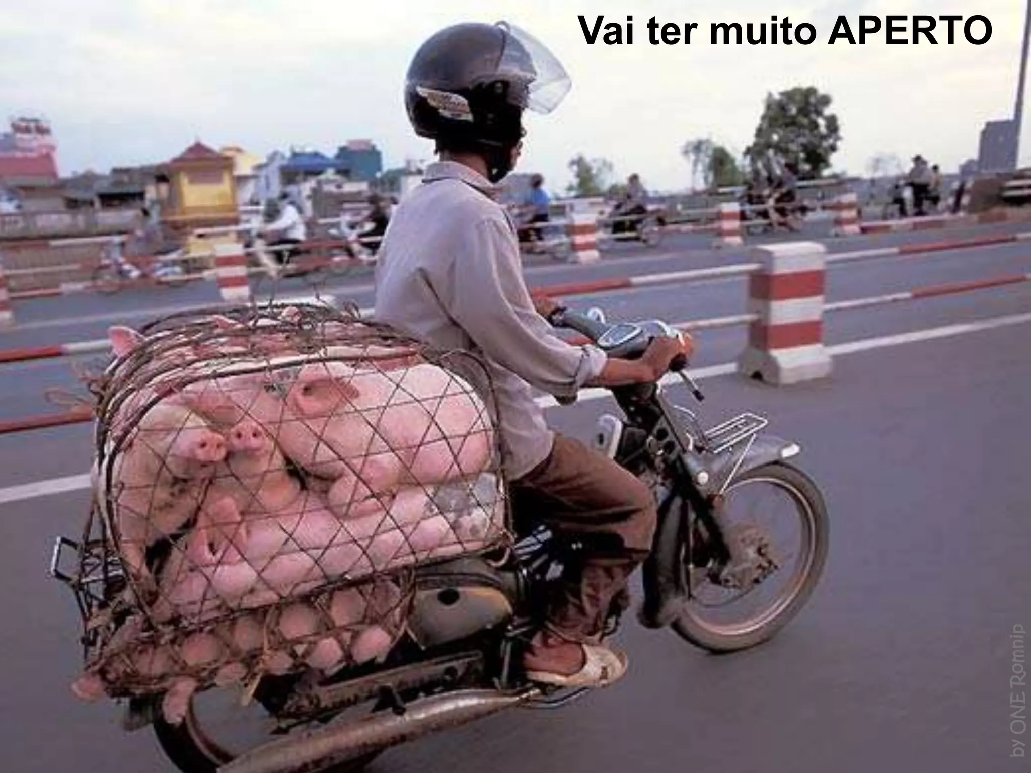 Cenários e Perspectivas