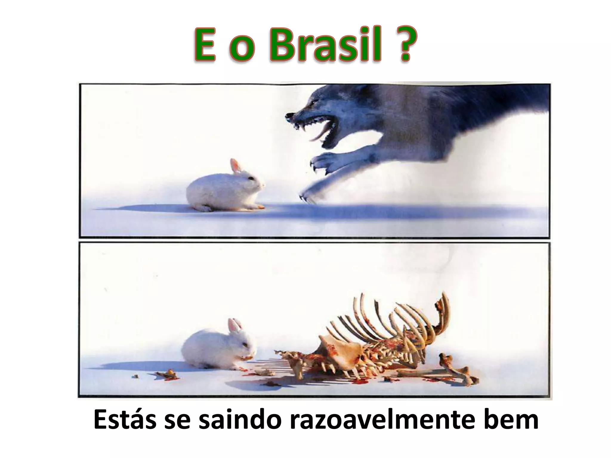 Cenários e Perspectivas