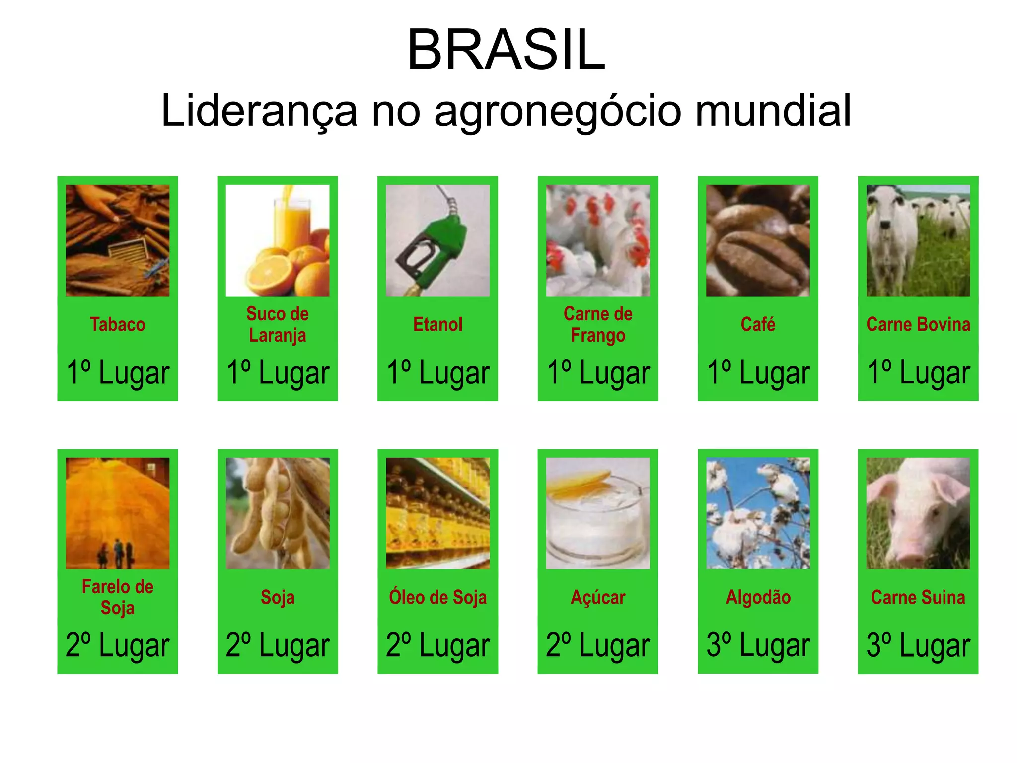 Cenários e Perspectivas