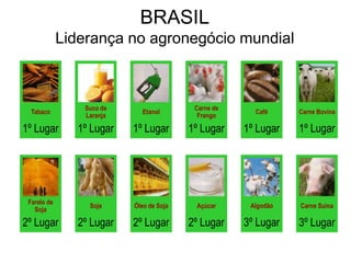 Cenários e Perspectivas