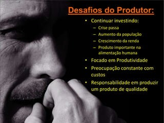 Cenários e Perspectivas