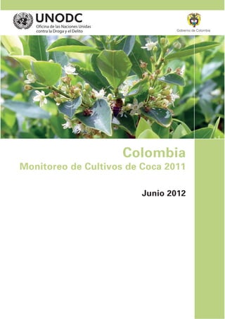Gobierno de Colombia




                     Colombia
Monitoreo de Cultivos de Coca 2011

                         Junio 2012
 
