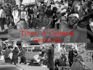 Tibet: A Cultural
Genocide
 