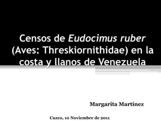 Censos de Eudocimus ruber
(Aves: Threskiornithidae) en la
  costa y llanos de Venezuela



                         Margarita Martínez

        Cuzco, 10 Noviembre de 2011
 