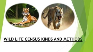 WILD LIFE CENSUS KINDS AND METHODS
 