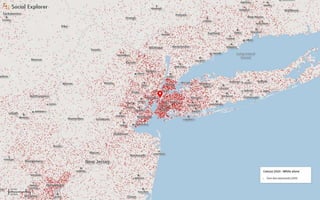 Census2010 race-black n-yers-dots