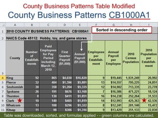 28 
County Business Patterns Table Modified County Business Patterns CB1000A1 
Table was downloaded, sorted, and formulas applied - - green columns are calculated. 
Sorted in descending order  