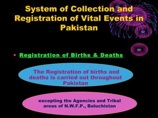 Census population by dr najeeb memon | PPT