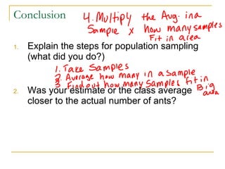 Conclusion Explain the steps for population sampling (what did you do?) Was your estimate or the class average closer to the actual number of ants?  