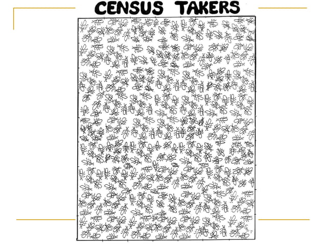 Census Takers Pd7 | PPT