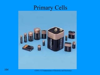Primary Cells 