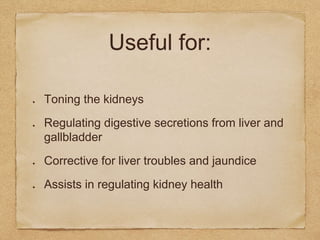 Useful for:
Toning the kidneys
Regulating digestive secretions from liver and
gallbladder
Corrective for liver troubles and jaundice
Assists in regulating kidney health
 