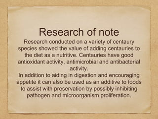 Research of note
Research conducted on a variety of centaury
species showed the value of adding centauries to
the diet as a nutritive. Centauries have good
antioxidant activity, antimicrobial and antibacterial
activity.
In addition to aiding in digestion and encouraging
appetite it can also be used as an additive to foods
to assist with preservation by possibly inhibiting
pathogen and microorganism proliferation.
 