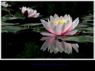 Formatação: Stella Lecocq Müller “Mensagens dos Mestres – De Coração a Coração” 