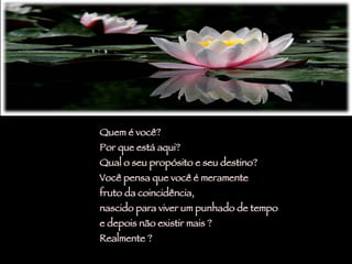 Quem é você?  Por que está aqui?  Qual o seu propósito e seu destino?  Você pensa que você é meramente  fruto da coincidência,  nascido para viver um punhado de tempo  e depois não existir mais ?  Realmente ?  