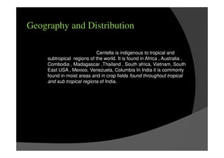 Geography and Distribution
Centella is indigenous to tropical and
subtropical regions of the world. It is found in Africa , Australia ,
Combodia , Madagascar ,Thailand , South africa, Vietnam, South
East USA , Mexico, Venezuela, Columbia In India it is commonly
found in moist areas and in crop fields found throughout tropical
and sub tropical regions of India.
 