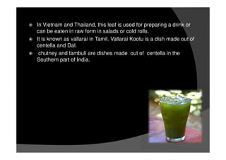 In Vietnam and Thailand, this leaf is used for preparing a drink or
can be eaten in raw form in salads or cold rolls.
It is known as vallarai in Tamil. Vallarai Kootu is a dish made out of
centella and Dal.
chutney and tambuli are dishes made out of centella in the
Southern part of India.
 