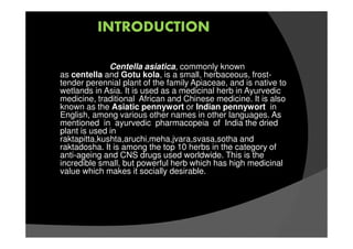INTRODUCTION
Centella asiatica, commonly known
as centella and Gotu kola, is a small, herbaceous, frost-
tender perennial plant of the family Apiaceae, and is native to
wetlands in Asia. It is used as a medicinal herb in Ayurvedic
medicine, traditional African and Chinese medicine. It is also
known as the Asiatic pennywort or Indian pennywort in
English, among various other names in other languages. As
mentioned in ayurvedic pharmacopeia of India the dried
plant is used in
raktapitta,kushta,aruchi,meha,jvara,svasa,sotha and
raktadosha. It is among the top 10 herbs in the category of
anti-ageing and CNS drugs used worldwide. This is the
incredible small, but powerful herb which has high medicinal
value which makes it socially desirable.
 