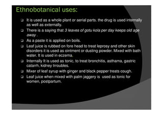 Ethnobotanical uses:
It is used as a whole plant or aerial parts. the drug is used internally
as well as externally.
There is a saying that 3 leaves of gotu kola per day keeps old age
away .
As a paste it is applied on boils.
Leaf juice is rubbed on fore head to treat leprosy and other skin
disorders it is used as ointment or dusting powder. Mixed with bath
water. It is used in eczema.
Internally It is used as tonic, to treat bronchitis, asthama, gastric
catarrh, kidney trroubles.
Mixer of leaf syrup with ginger and black pepper treats cough.
Leaf juice when mixed with palm jaggery is used as tonic for
women, postpartum.
 