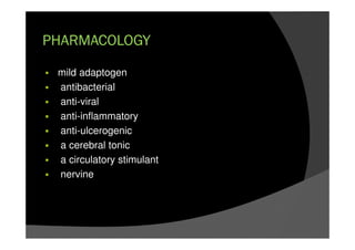 PHARMACOLOGY
mild adaptogen
antibacterial
anti-viral
anti-inflammatory
anti-ulcerogenic
a cerebral tonic
a circulatory stimulant
nervine
 