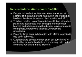 Despite this collectors from non forest areas report
scarcity of the plant growing naturally in the wetland. It
has been listed as a threatened plant species by (IUCN).
This has resulted in controversial substitution with other
plants.It is adulterated with Bocaopa monnieri(neer
brahmi) and other plants with orbicular leaves merremia
emerginata, hydrocotyle javanica ,Hydrocotyle
rofundifolia.
Recently large scale adulteration with Malva rofundifolia
has been observed.
C.asiatica and bocopa moneri often get substituted for
each other in market as both are commonly sold under
the same vernacular name Brahhmi.
General information about Centella:
 