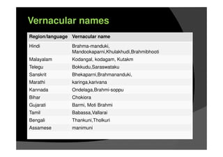 Region/language Vernacular name
Hindi Brahma-manduki,
Mandookaparni,Khulakhudi,Brahmibhooti
Malayalam Kodangal, kodagam, Kutakm
Telegu Bokkudu,Saraswataku
Sanskrit Bhekaparni,Brahmananduki,
Marathi karinga,karivana
Kannada Ondelaga,Brahmi-soppu
Bihar Chokiora
Gujarati Barmi, Moti Brahmi
Tamil Babassa,Vallarai
Bengali Thankuni,Tholkuri
Assamese manimuni
Vernacular name
Vernacular names
 