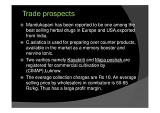 Trade prospects
Mandukapani has been reported to be one among the
best selling herbal drugs in Europe and USA,exported
from India.
C.asiatica is used for preparing over counter products,
available in the market as a memory booster and
nervine tonic.
Two varities namely Kayakriti and Majja poshak are
registered for commercial cultivation by
(CIMAP),Luknow.
The everage collection charges are Rs 10. An everage
selling price by wholesalers in coimbatore is 50-65
Rs/kg. Thus has a large profit margin.
 