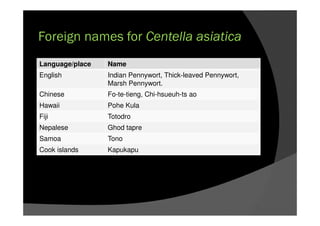 Foreign names for Centella asiatica
Language/place Name
English Indian Pennywort, Thick-leaved Pennywort,
Marsh Pennywort.
Chinese Fo-te-tieng, Chi-hsueuh-ts ao
Hawaii Pohe Kula
Fiji Totodro
Nepalese Ghod tapre
Samoa Tono
Cook islands Kapukapu
 
